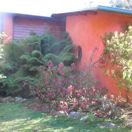 Whispering Spirit Holiday Cottages & Mini Ponies Franklin Екстериор снимка