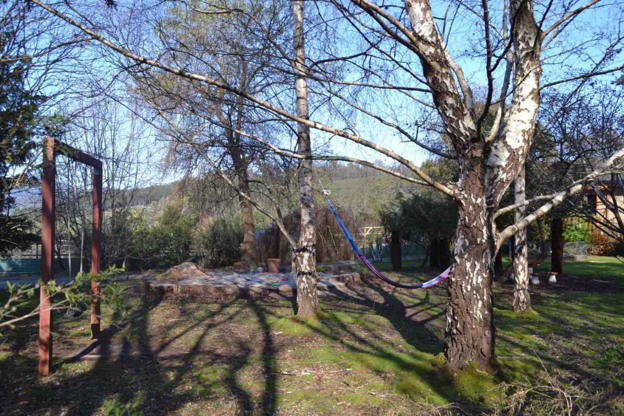 Whispering Spirit Holiday Cottages & Mini Ponies Franklin Екстериор снимка
